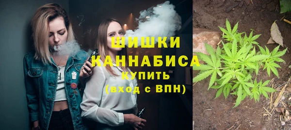 меф Вяземский